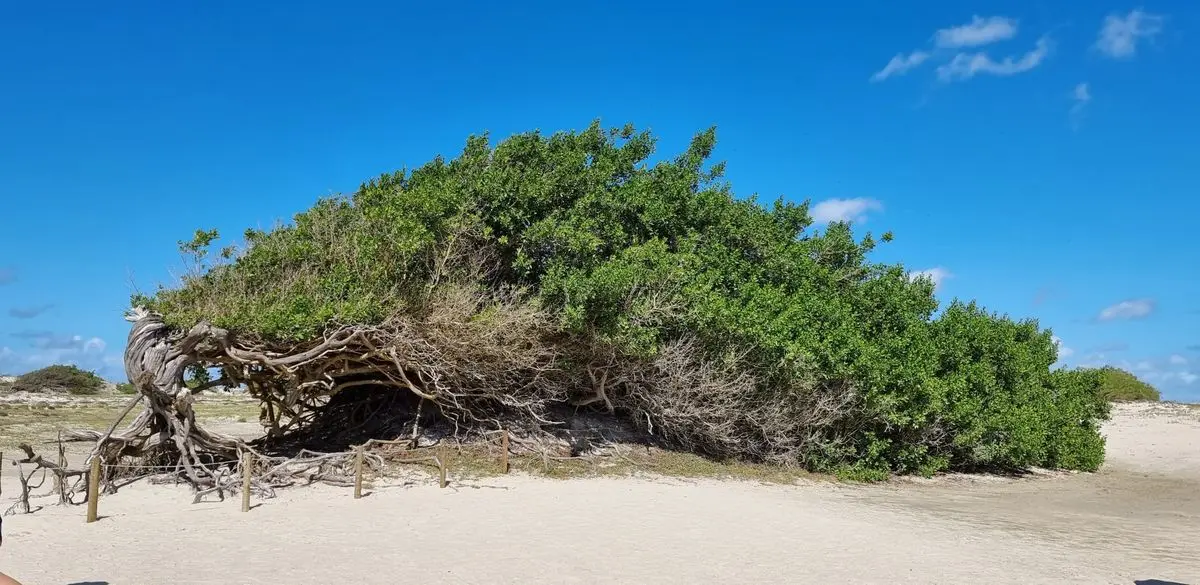 Buraco Azul Caíçara — Passeio Leste Jericoacoara