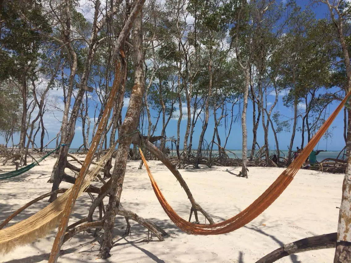 Mangue Seco no Passeio Oeste Jericoacoara